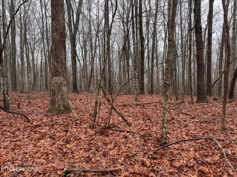 Tiny photo for Arbutus Trail (aka Silcox Ford Rd S/0), Helenwood, TN 37755 (MLS # 1328517)