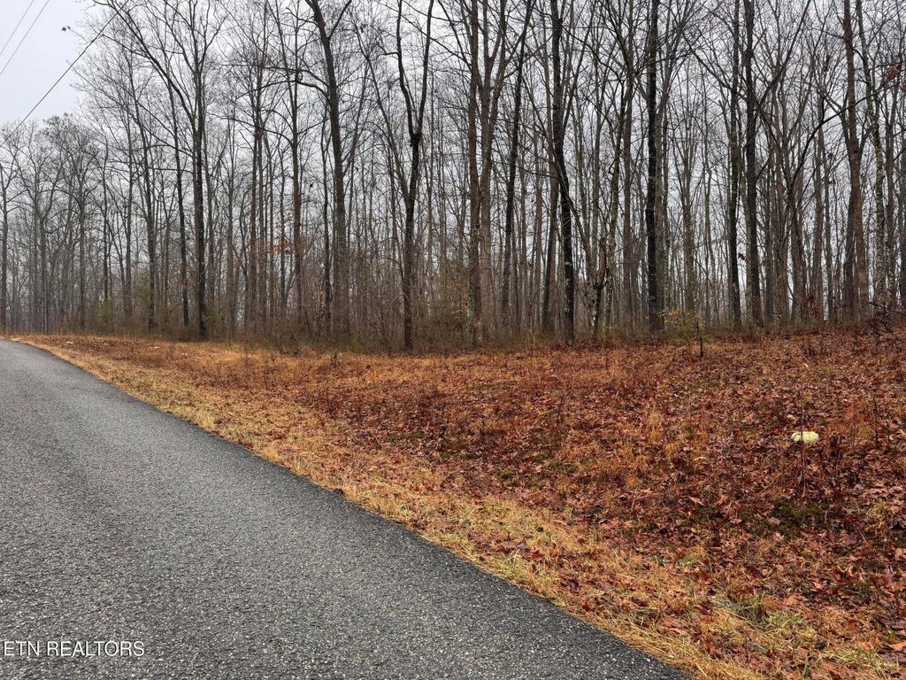 Photo of Arbutus Trail (aka Silcox Ford Rd S/0), Helenwood, TN 37755 (MLS # 1328517)