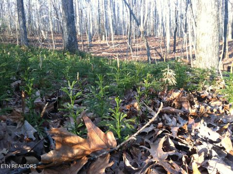Tiny photo for Arbutus Trail (aka Silcox Ford Rd S/0), Helenwood, TN 37755 (MLS # 1328517)