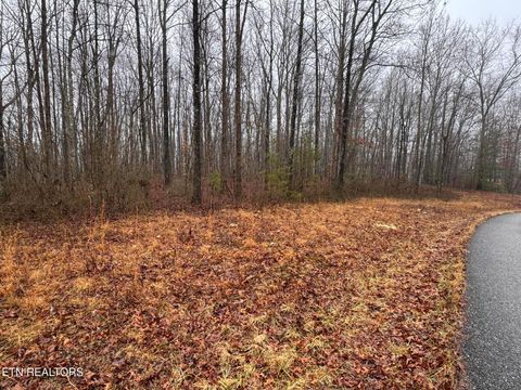 Tiny photo for Arbutus Trail (aka Silcox Ford Rd S/0), Helenwood, TN 37755 (MLS # 1328517)