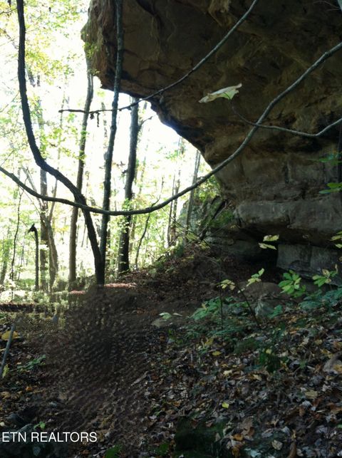 Tiny photo for Arbutus Trail (aka Silcox Ford Rd S/0), Helenwood, TN 37755 (MLS # 1328517)