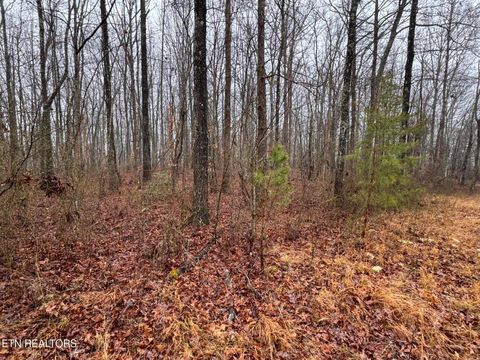 Tiny photo for Arbutus Trail (aka Silcox Ford Rd S/0), Helenwood, TN 37755 (MLS # 1328517)