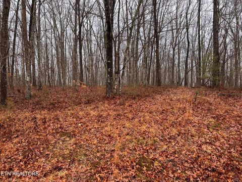Tiny photo for Arbutus Trail (aka Silcox Ford Rd S/0), Helenwood, TN 37755 (MLS # 1328517)