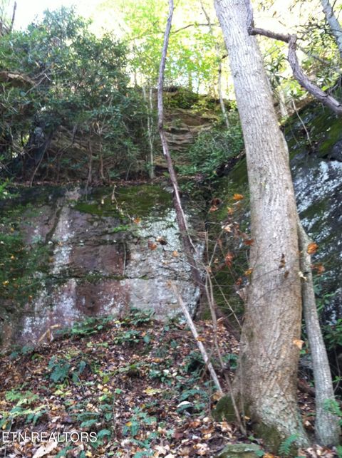 Tiny photo for Arbutus Trail (aka Silcox Ford Rd S/0), Helenwood, TN 37755 (MLS # 1328517)