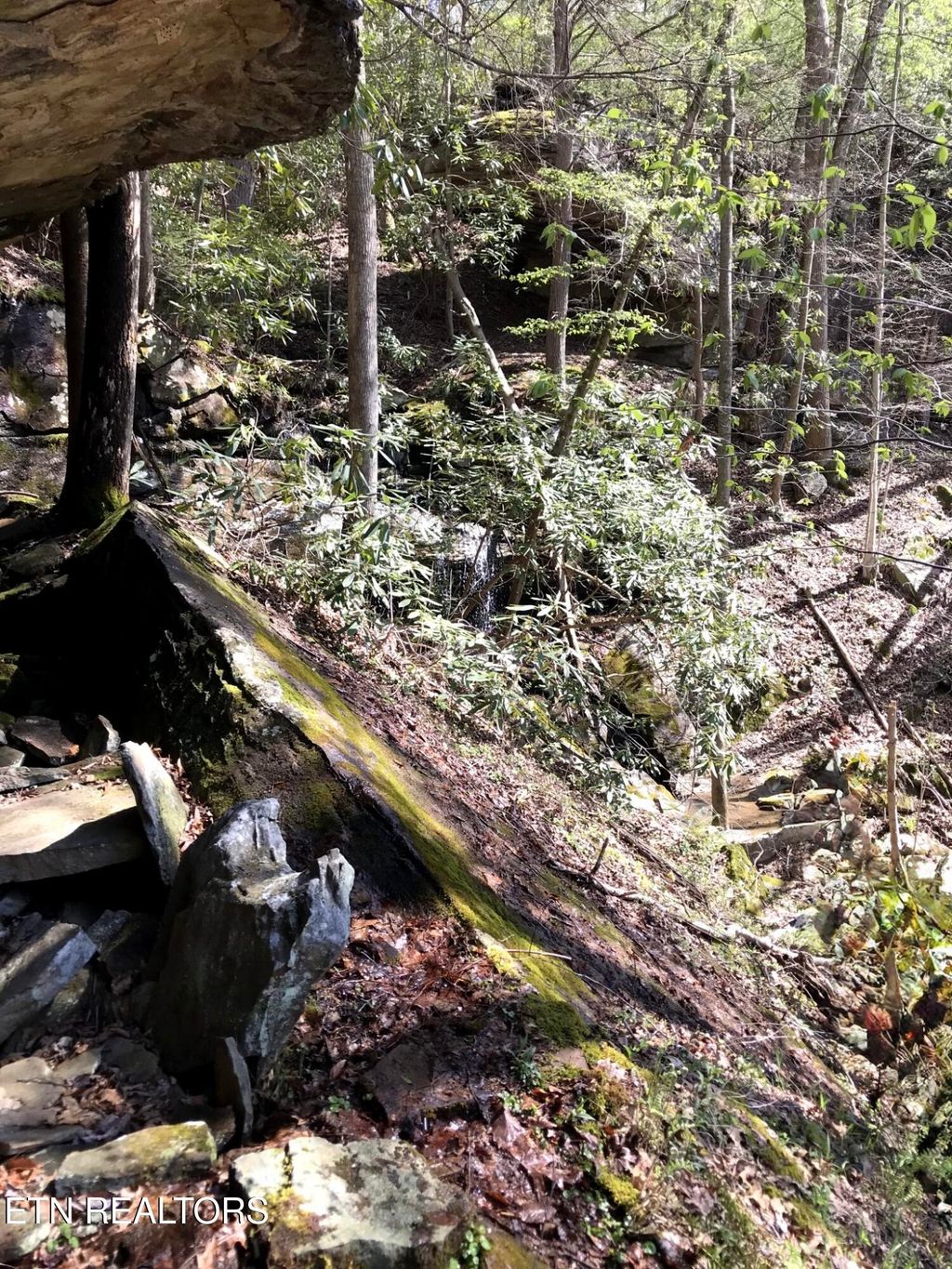 Photo of Arbutus Trail (aka Silcox Ford Rd S/0), Helenwood, TN 37755 (MLS # 1328517)