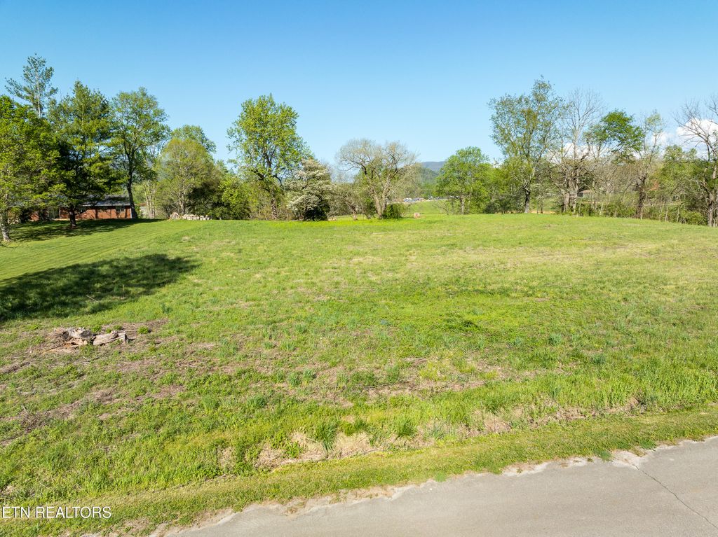 Photo of E Chestnut Hill, Lot 28 &amp; 29 Rd, Townsend, TN 37882 (MLS # 1260138)