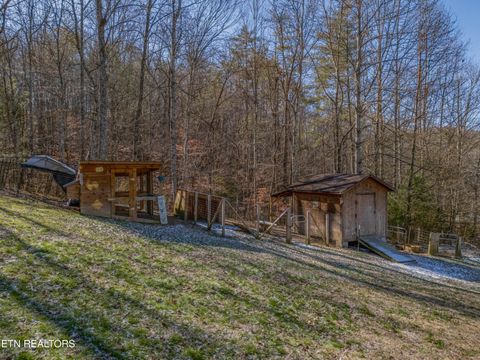 Tiny photo for 161 Adcock Hollow Rd, Harriman, TN 37748 (MLS # 1327913)