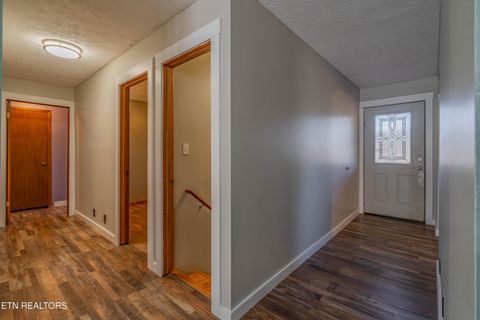 Tiny photo for 161 Adcock Hollow Rd, Harriman, TN 37748 (MLS # 1327913)