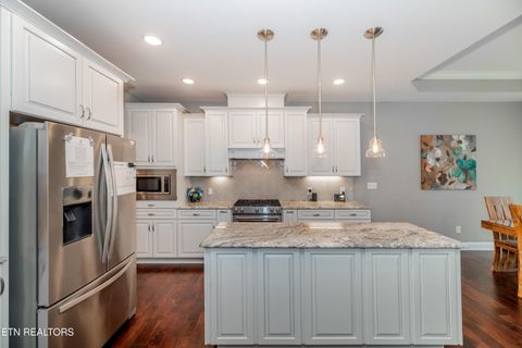 Tiny photo for 109 Niwodihi Tr, Vonore, TN 37885 (MLS # 1300511)