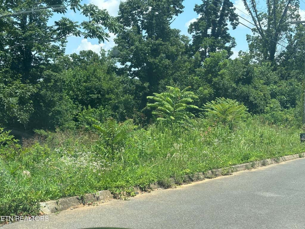 Photo of 564 Low Valley Rd, Dandridge, TN 37725 (MLS # 1346626)