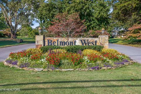 Tiny photo for 9409 Briarwood Blvd, Knoxville, TN 37923 (MLS # 1318363)