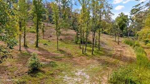 Tiny photo for 315 Tobby Hollow Lane, Knoxville, TN 37931 (MLS # 1315802)