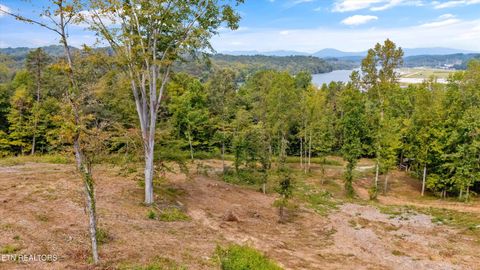 Photo of 315 Tobby Hollow Lane, Knoxville, TN 37931 (MLS # 1315802)