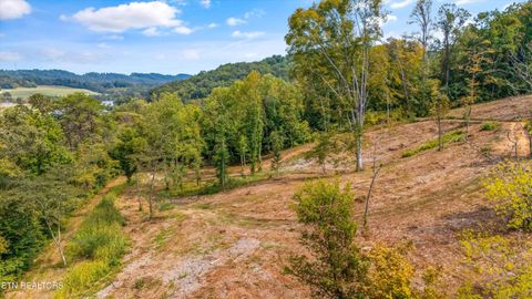 Tiny photo for 315 Tobby Hollow Lane, Knoxville, TN 37931 (MLS # 1315802)