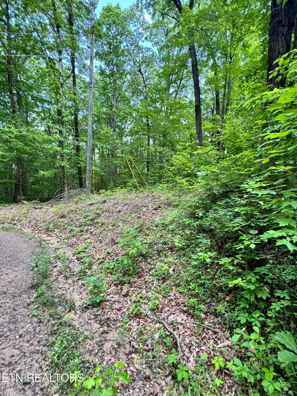 Photo of Prettiest Sunset Way #Lot 4, Seymour, TN 37865 (MLS # 1333819)