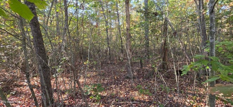 Tiny photo for 4 Austin Drive, Monterey, TN 38574 (MLS # 1358479)
