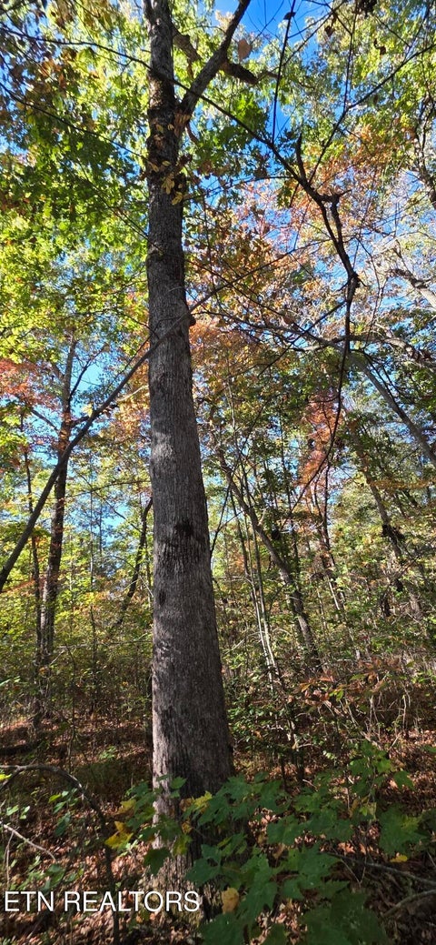 Tiny photo for 4 Austin Drive, Monterey, TN 38574 (MLS # 1358479)