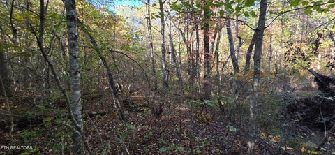 Tiny photo for 4 Austin Drive, Monterey, TN 38574 (MLS # 1358479)