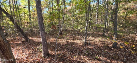 Tiny photo for 4 Austin Drive, Monterey, TN 38574 (MLS # 1358479)