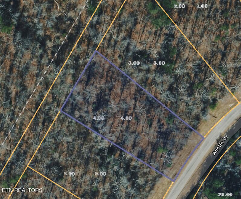 Photo of 4 Austin Drive, Monterey, TN 38574 (MLS # 1358479)