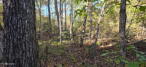Tiny photo for 4 Austin Drive, Monterey, TN 38574 (MLS # 1358479)