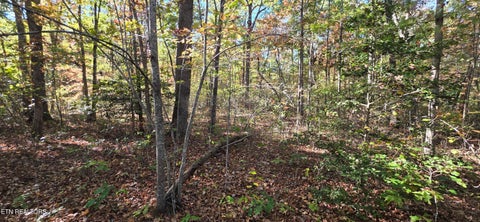 Tiny photo for 4 Austin Drive, Monterey, TN 38574 (MLS # 1358479)