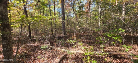 Tiny photo for 4 Austin Drive, Monterey, TN 38574 (MLS # 1358479)