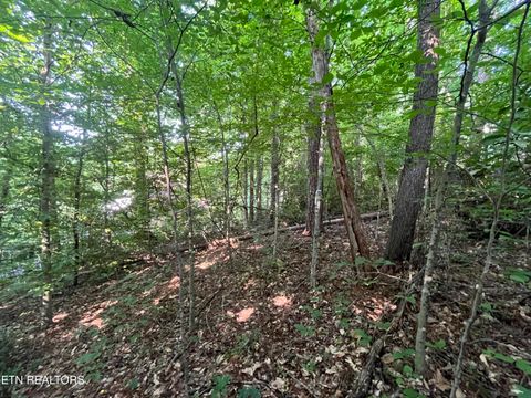 Tiny photo for 2504 Craghead Lane, Knoxville, TN 37920 (MLS # 1305418)