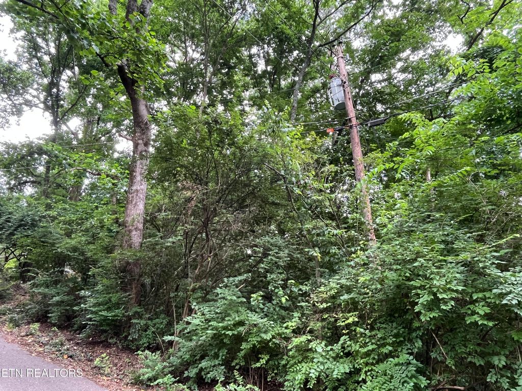 Photo of 2504 Craghead Lane, Knoxville, TN 37920 (MLS # 1305418)