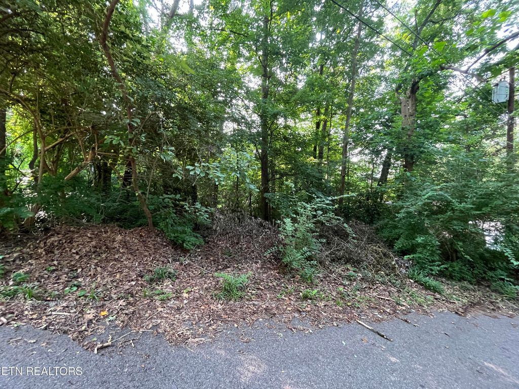 Photo of 2504 Craghead Lane, Knoxville, TN 37920 (MLS # 1305418)