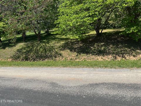Photo of Mars Hill Rd, Spring City, TN 37381 (MLS # 1341129)