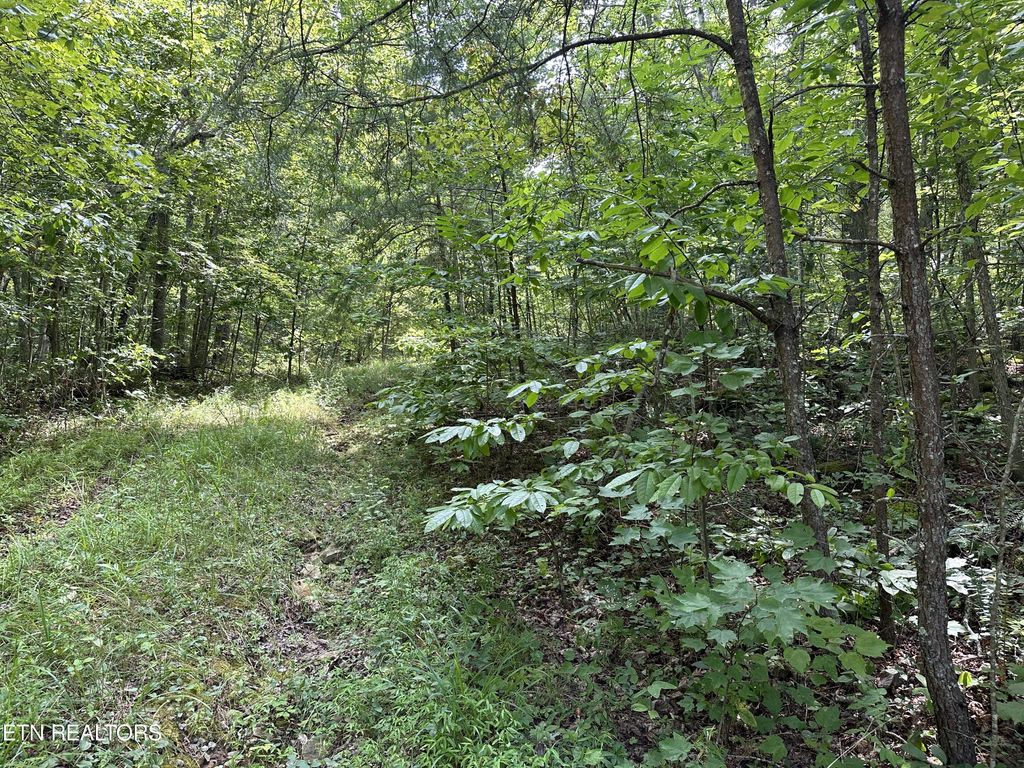 Photo of Anthony Rd, Deer Lodge, TN 37726 (MLS # 1274076)