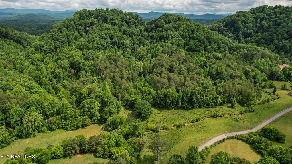 Photo of Shoal Creek Rd, Englewood, TN 37329 (MLS # 1342594)