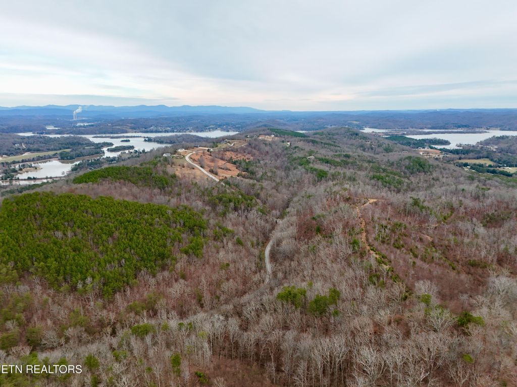 Photo of Laurel Bluff Rd, Kingston, TN 37763 (MLS # 1323917)
