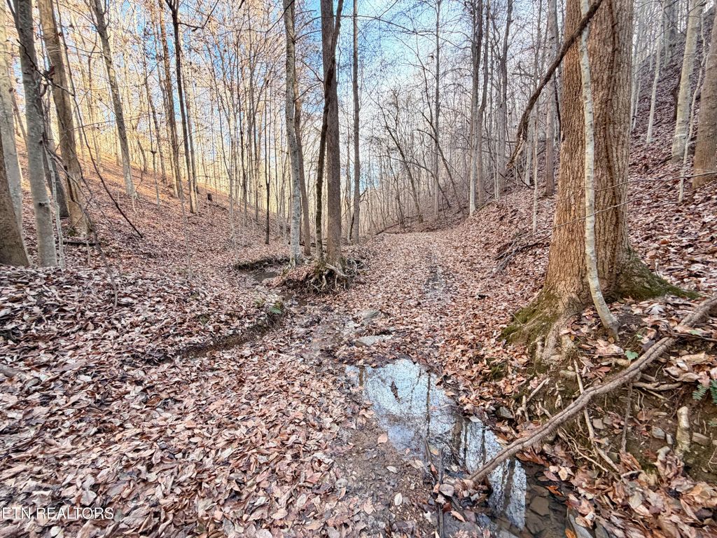 Photo of Laurel Bluff Rd, Kingston, TN 37763 (MLS # 1323917)