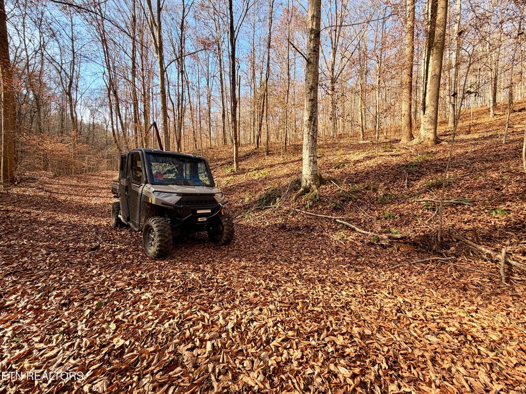 Photo of Laurel Bluff Rd, Kingston, TN 37763 (MLS # 1323917)