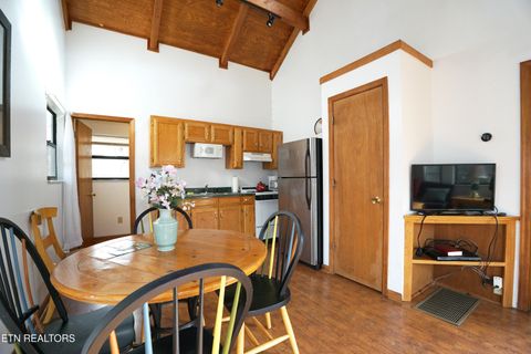 Tiny photo for 150 Morning Dunn Drive Dr, Reliance, TN 37369 (MLS # 1342282)