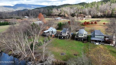 Tiny photo for 150 Morning Dunn Drive Dr, Reliance, TN 37369 (MLS # 1342282)