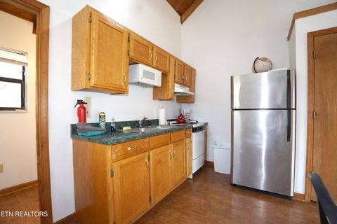 Tiny photo for 150 Morning Dunn Drive Dr, Reliance, TN 37369 (MLS # 1342282)