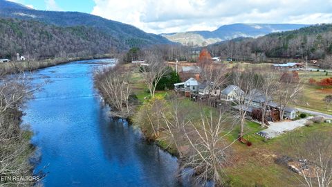 Tiny photo for 150 Morning Dunn Drive Dr, Reliance, TN 37369 (MLS # 1342282)