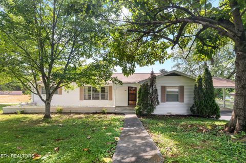 Photo of 149 Holbrook Ave, Lenoir City, TN 37771 (MLS # 1348114)
