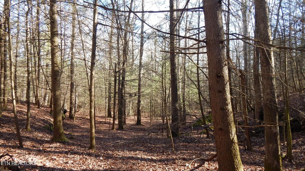 Photo of Bearpen Fork, Jamestown, TN 38556 (MLS # 1328046)