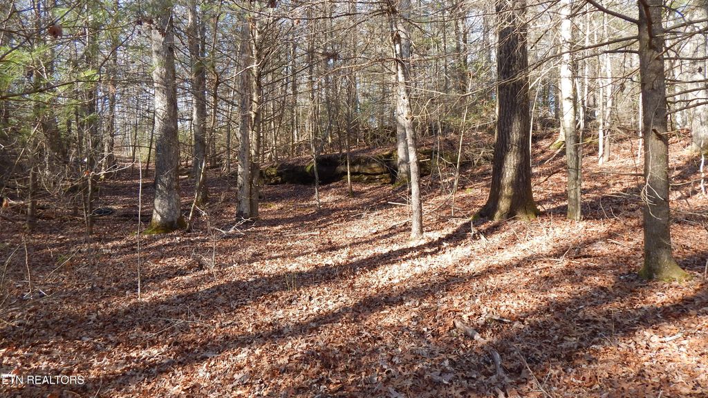 Photo of Bearpen Fork, Jamestown, TN 38556 (MLS # 1328046)