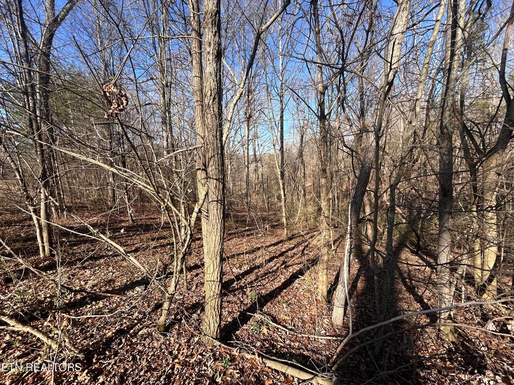 Photo of 47 Ernie Roberts Rd, Rutledge, TN 37861 (MLS # 1293047)