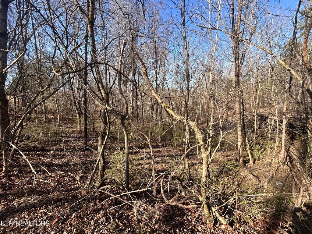 Photo of 47 Ernie Roberts Rd, Rutledge, TN 37861 (MLS # 1293047)
