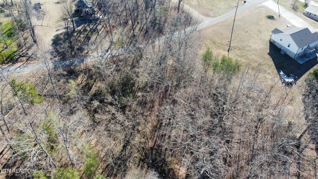 Photo of 47 Ernie Roberts Rd, Rutledge, TN 37861 (MLS # 1293047)