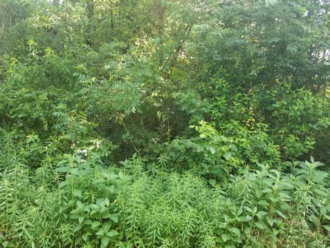Photo of 108 Utsesti Way, Loudon, TN 37774 (MLS # 1349732)