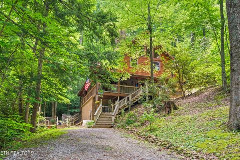 3824 Bear Camp Way Sevierville TN 37862
