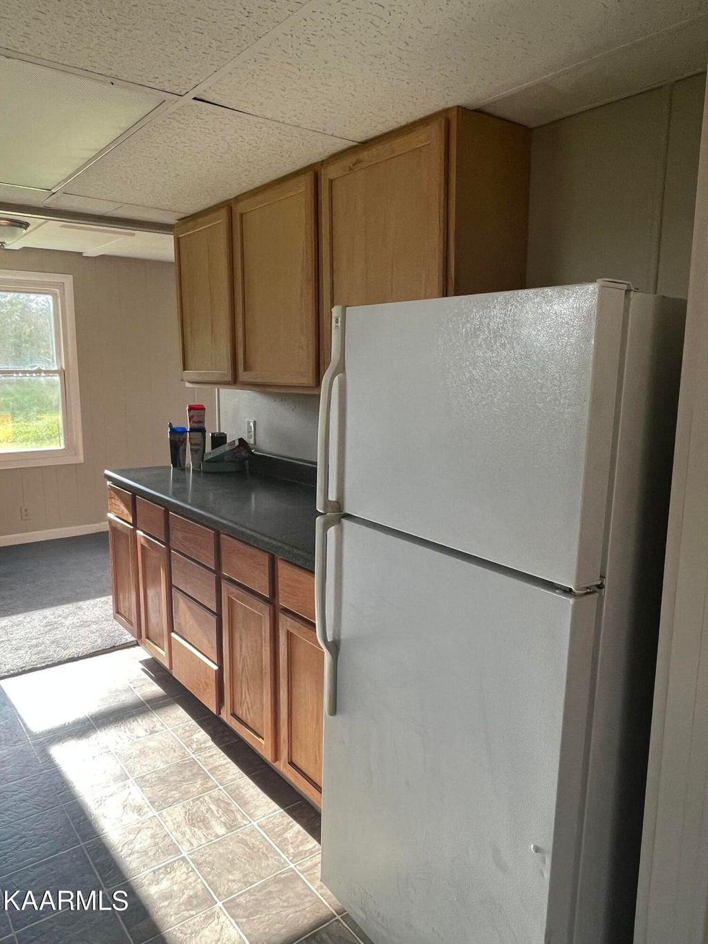 Photo of 609 S Carter School Rd, Strawberry Plains, TN 37871 (MLS # 1236971)