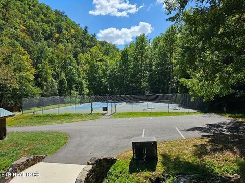 Tiny photo for 13 Villa Ridge Place, Sevierville, TN 37862 (MLS # 1332592)